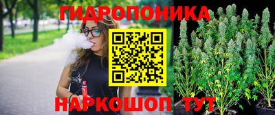 мяу мяу мука Лесосибирск