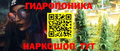 стаф Ливны