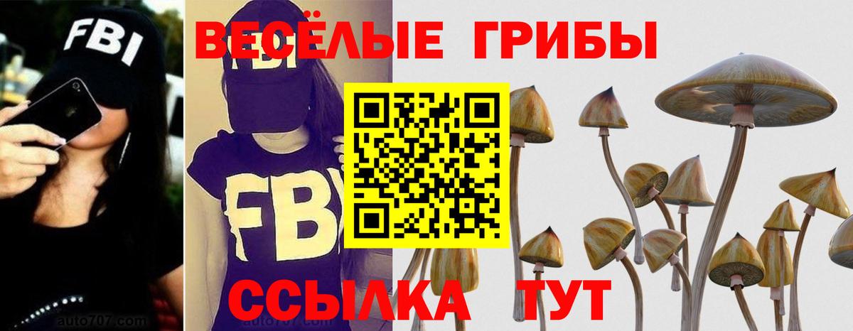Псилоцибиновые грибы прущие грибы Городец